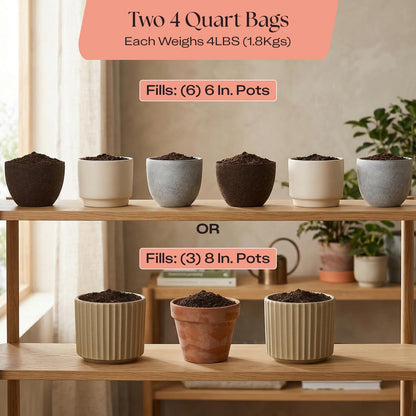 Rosy Soil Cactus Soil – Organic Succulent Potting Mix, Chunky Fast Draining, Peat-Free, Root Boosting Mix for AloeVera, Cacti, Indoor Succulents - 4qt