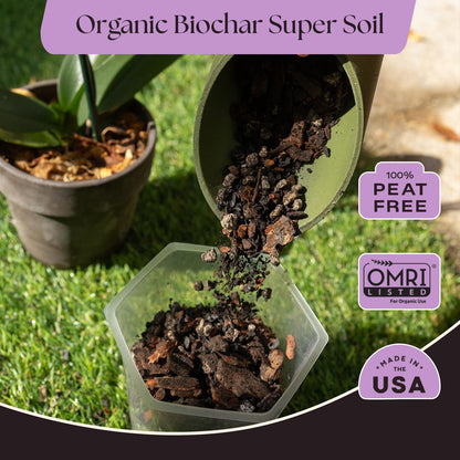 Rosy Soil Cactus Soil – Organic Succulent Potting Mix, Chunky Fast Draining, Peat-Free, Root Boosting Mix for AloeVera, Cacti, Indoor Succulents - 4qt