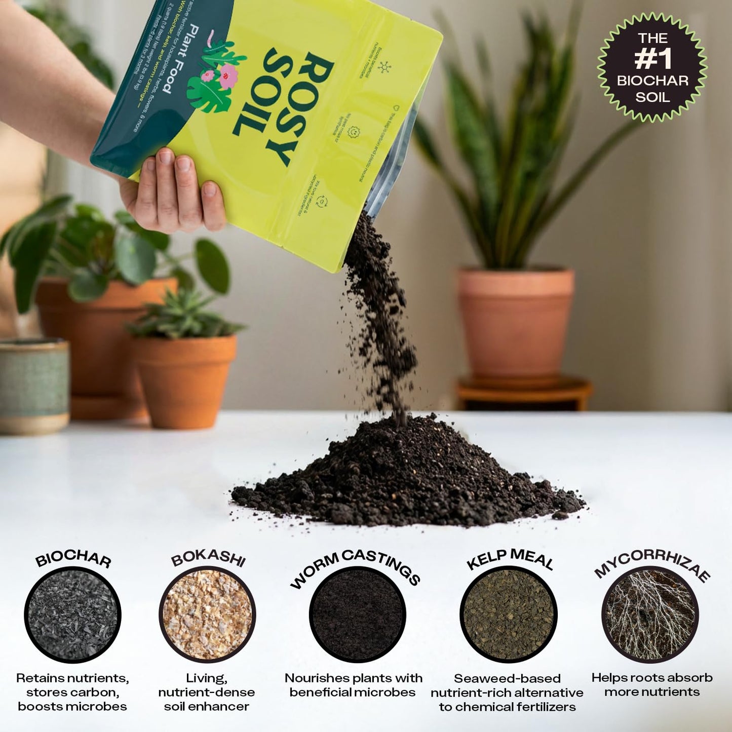 Rosy Soil Cactus Soil – Organic Succulent Potting Mix, Chunky Fast Draining, Peat-Free, Root Boosting Mix for AloeVera, Cacti, Indoor Succulents - 4qt