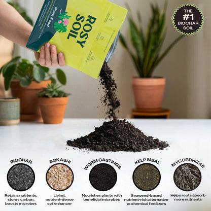 Rosy Soil Cactus Soil – Organic Succulent Potting Mix, Chunky Fast Draining, Peat-Free, Root Boosting Mix for AloeVera, Cacti, Indoor Succulents - 4qt
