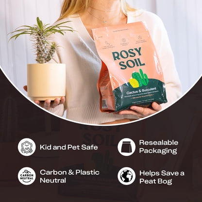 Rosy Soil Cactus Soil – Organic Succulent Potting Mix, Chunky Fast Draining, Peat-Free, Root Boosting Mix for AloeVera, Cacti, Indoor Succulents - 4qt