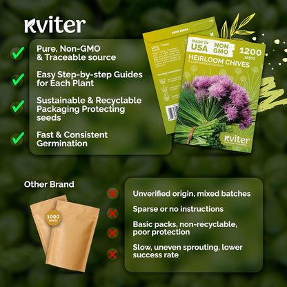 KVITER 150 Borage Seeds (Borago officinalis) - Blue Strawflower, Edible Flower for Teas, Attracts Pollinators - Heirloom Herb Seeds for Planting in Outdoor & Indoor Garden, Beds, Containers