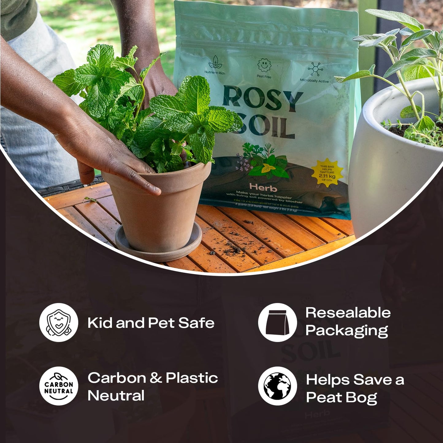 Rosy Soil Cactus Soil – Organic Succulent Potting Mix, Chunky Fast Draining, Peat-Free, Root Boosting Mix for AloeVera, Cacti, Indoor Succulents - 4qt