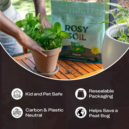 Rosy Soil Cactus Soil – Organic Succulent Potting Mix, Chunky Fast Draining, Peat-Free, Root Boosting Mix for AloeVera, Cacti, Indoor Succulents - 4qt