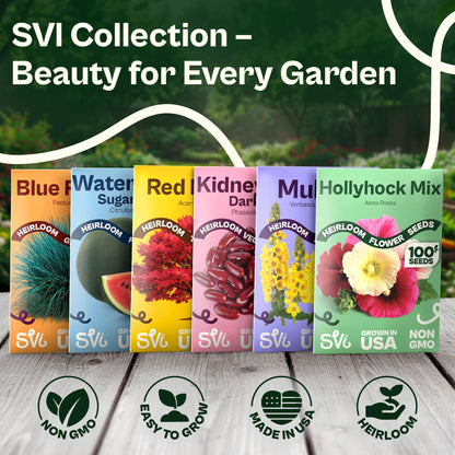 SVI 50 Teddy Bear Sunflower Seeds (Helianthus annuus) – Dwarf Teddy Bear Sunflower Seed Packets – Annual Cut Flower Seeds for Outdoor Garden & Indoor Garden, Containers, Patios, Flower Beds