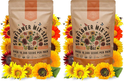 Sunflower Mix Seeds Pack 8 oz - Over 10,300 Non-GMO Heirloom Sunflower Seeds for Planting, Annual Flowers in Individual Seed Packet for Planting Home Garden Indoor & Outdoor Gardening