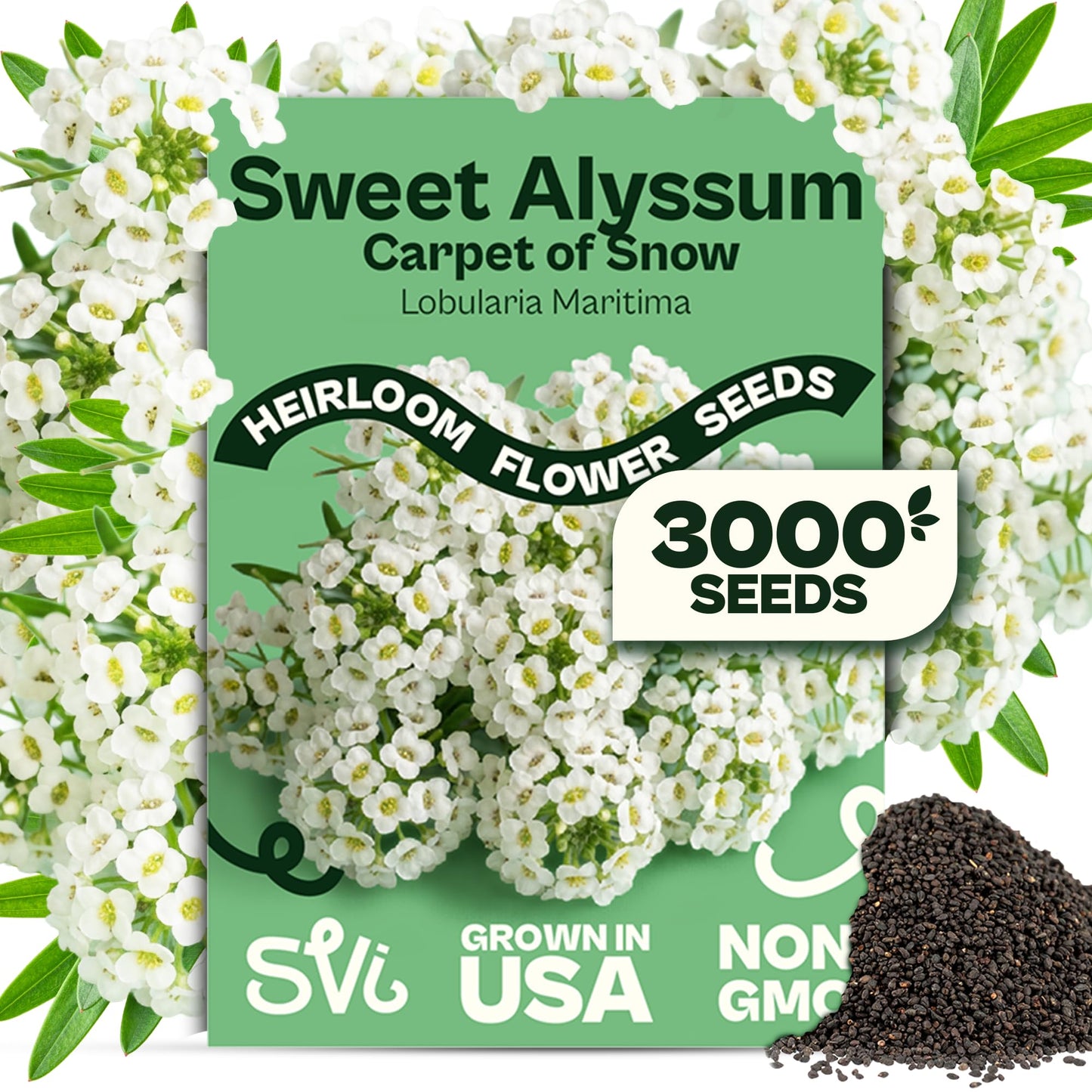 SVI 50 Teddy Bear Sunflower Seeds (Helianthus annuus) – Dwarf Teddy Bear Sunflower Seed Packets – Annual Cut Flower Seeds for Outdoor Garden & Indoor Garden, Containers, Patios, Flower Beds
