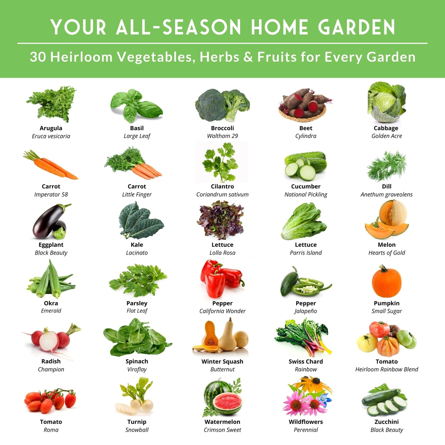 Survival Farmer Seed Vault – 100 Pack of Heirloom Vegetable Seeds for Planting – Non-GMO Vegetables, Fruits, Herbs – Sealed Kit for Long-Term Emergency Storage – Survival Garden Seeds