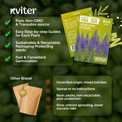 KVITER 150 Borage Seeds (Borago officinalis) - Blue Strawflower, Edible Flower for Teas, Attracts Pollinators - Heirloom Herb Seeds for Planting in Outdoor & Indoor Garden, Beds, Containers