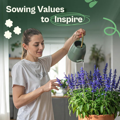SVI 50 Teddy Bear Sunflower Seeds (Helianthus annuus) – Dwarf Teddy Bear Sunflower Seed Packets – Annual Cut Flower Seeds for Outdoor Garden & Indoor Garden, Containers, Patios, Flower Beds