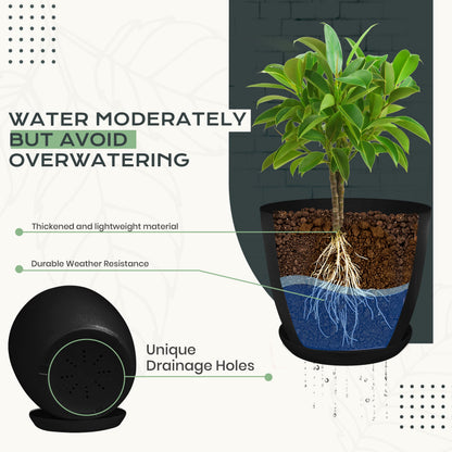 Utopia Home Plant Pots Indoor with Drainage Holes – Set of 5 White Plastic Flower Pots (7/6.6/6/5.3/4.8 Inch) – Modern Planters for Indoor Plants, Room & Office Décor, Great Stocking Stuffers