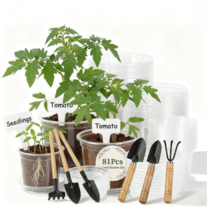 Clear Nursery Pots with Drainage, 81 Pcs Set, 4/5/6 Inch Plastic Pots for Indoor Plants, Seed Starter Kit with Plant Saucers, Clear Plant Pots with Drainage Holes, Pot Liners, Labels & Tools