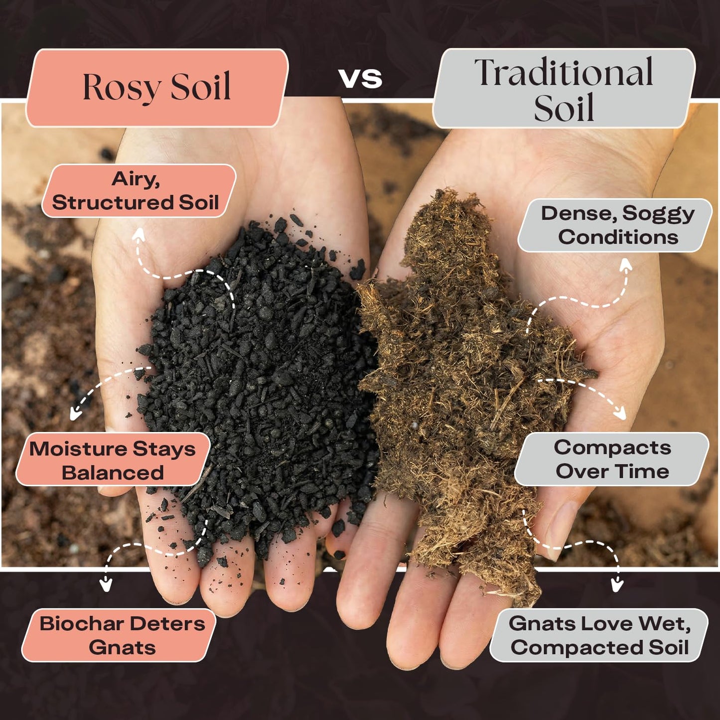 Rosy Soil Cactus Soil – Organic Succulent Potting Mix, Chunky Fast Draining, Peat-Free, Root Boosting Mix for AloeVera, Cacti, Indoor Succulents - 4qt