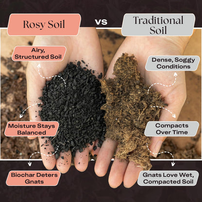 Rosy Soil Cactus Soil – Organic Succulent Potting Mix, Chunky Fast Draining, Peat-Free, Root Boosting Mix for AloeVera, Cacti, Indoor Succulents - 4qt