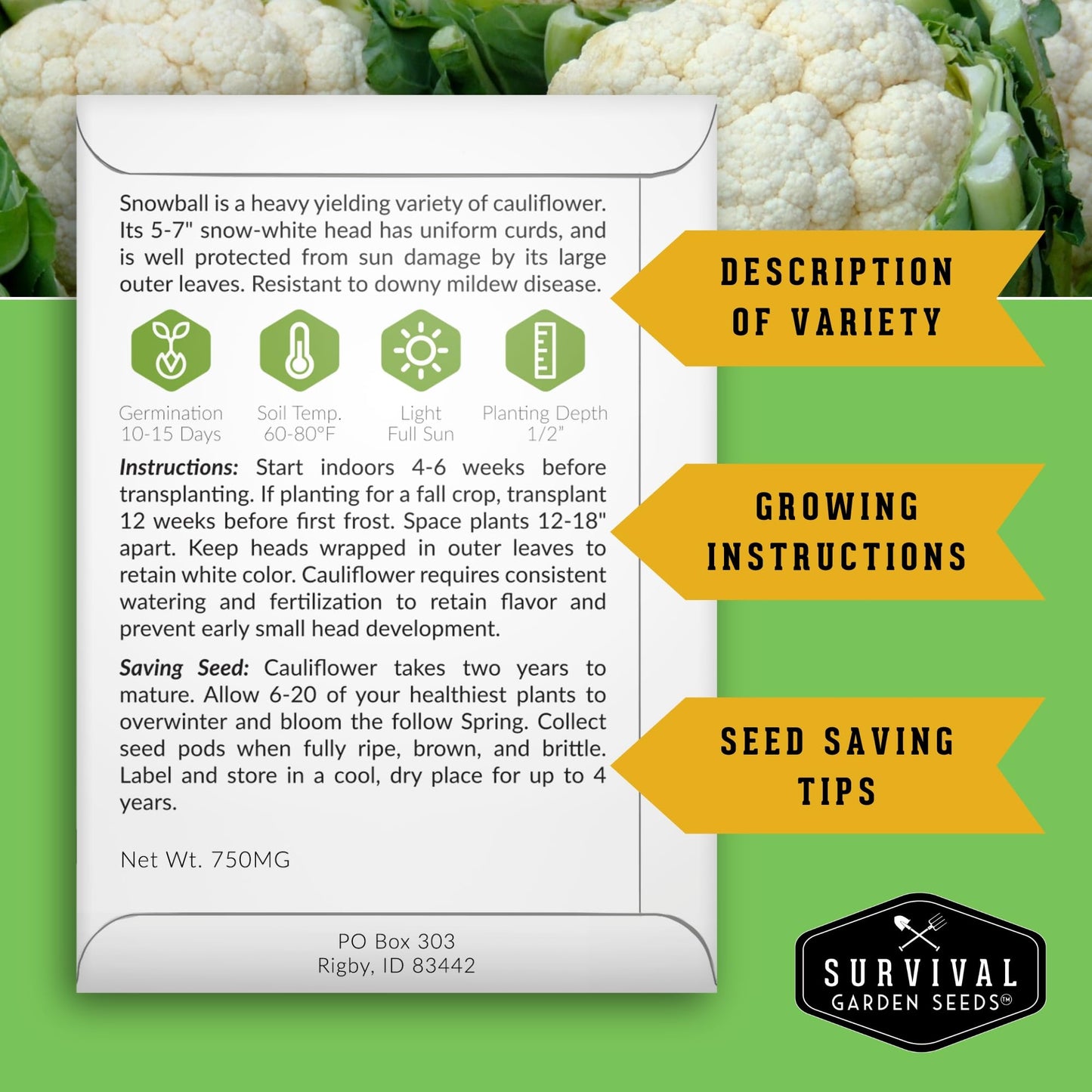 Survival Farmer Seed Vault – 100 Pack of Heirloom Vegetable Seeds for Planting – Non-GMO Vegetables, Fruits, Herbs – Sealed Kit for Long-Term Emergency Storage – Survival Garden Seeds