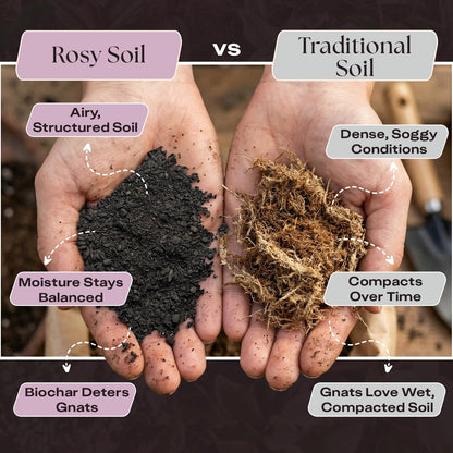 Rosy Soil Cactus Soil – Organic Succulent Potting Mix, Chunky Fast Draining, Peat-Free, Root Boosting Mix for AloeVera, Cacti, Indoor Succulents - 4qt