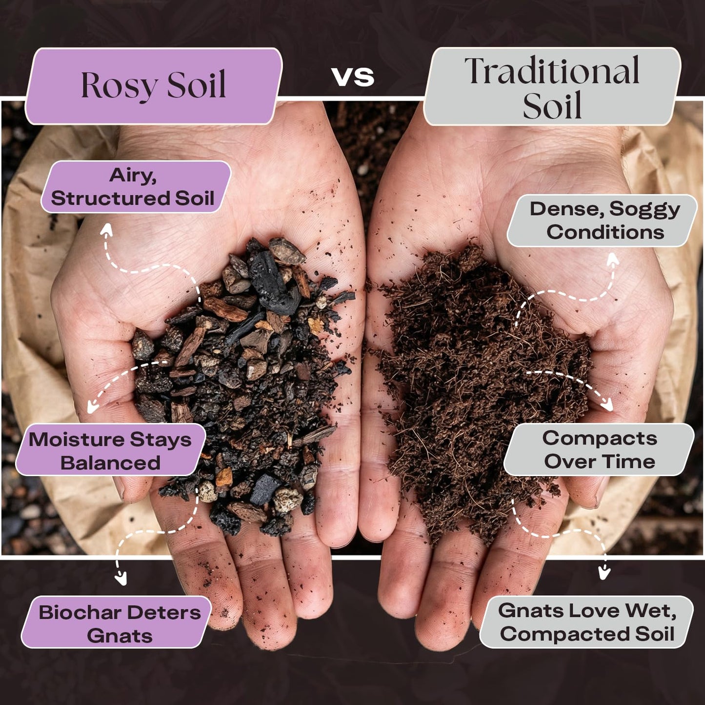 Rosy Soil Cactus Soil – Organic Succulent Potting Mix, Chunky Fast Draining, Peat-Free, Root Boosting Mix for AloeVera, Cacti, Indoor Succulents - 4qt
