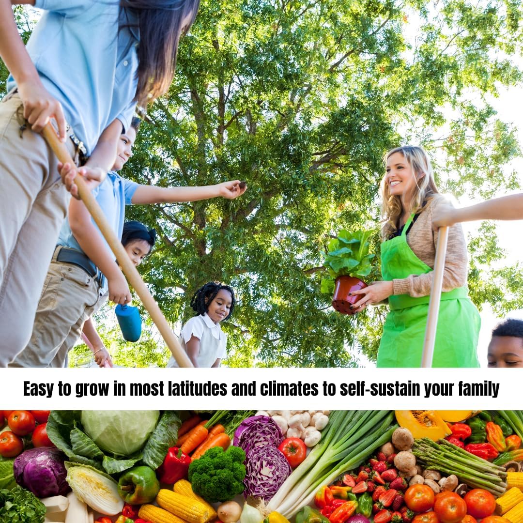 Survival Garden Heirloom Seeds Non GMO - 105 Varieties of Herb, Fruit and Vegetable Seeds for Planting Home Garden Plus Seed Storage Organizer Vault - Non Hybrid Open Pollinated by Grow For It