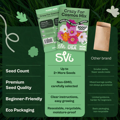 SVI 50 Teddy Bear Sunflower Seeds (Helianthus annuus) – Dwarf Teddy Bear Sunflower Seed Packets – Annual Cut Flower Seeds for Outdoor Garden & Indoor Garden, Containers, Patios, Flower Beds