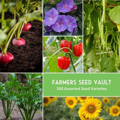 Survival Farmer Seed Vault – 100 Pack of Heirloom Vegetable Seeds for Planting – Non-GMO Vegetables, Fruits, Herbs – Sealed Kit for Long-Term Emergency Storage – Survival Garden Seeds
