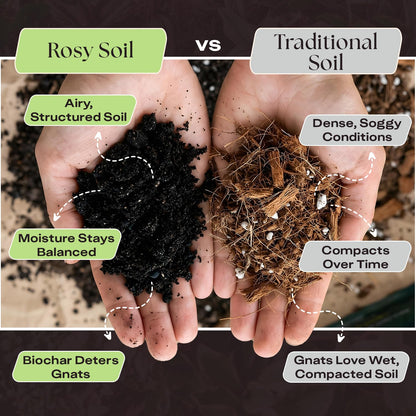 Rosy Soil Cactus Soil – Organic Succulent Potting Mix, Chunky Fast Draining, Peat-Free, Root Boosting Mix for AloeVera, Cacti, Indoor Succulents - 4qt