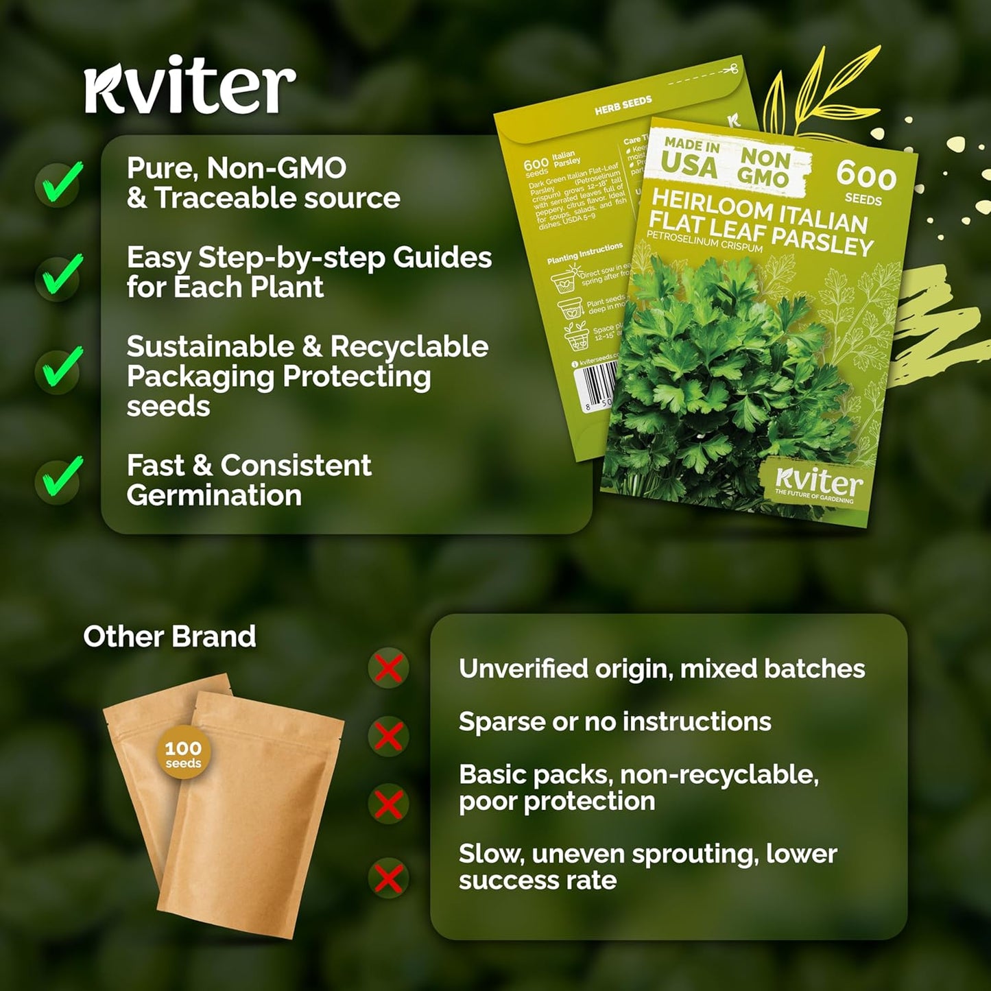 KVITER 150 Borage Seeds (Borago officinalis) - Blue Strawflower, Edible Flower for Teas, Attracts Pollinators - Heirloom Herb Seeds for Planting in Outdoor & Indoor Garden, Beds, Containers