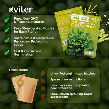 KVITER 150 Borage Seeds (Borago officinalis) - Blue Strawflower, Edible Flower for Teas, Attracts Pollinators - Heirloom Herb Seeds for Planting in Outdoor & Indoor Garden, Beds, Containers