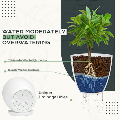 Utopia Home Plant Pots Indoor with Drainage Holes – Set of 5 White Plastic Flower Pots (7/6.6/6/5.3/4.8 Inch) – Modern Planters for Indoor Plants, Room & Office Décor, Great Stocking Stuffers