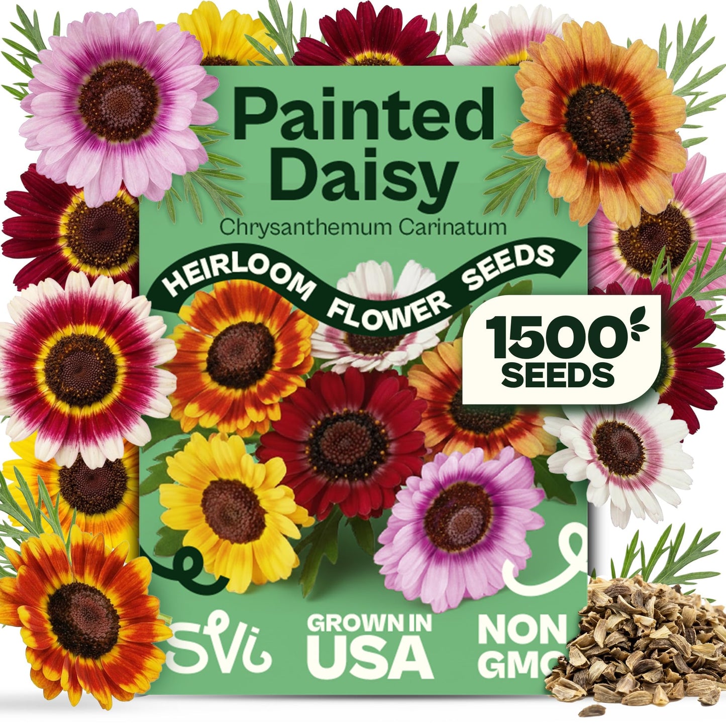 SVI 50 Teddy Bear Sunflower Seeds (Helianthus annuus) – Dwarf Teddy Bear Sunflower Seed Packets – Annual Cut Flower Seeds for Outdoor Garden & Indoor Garden, Containers, Patios, Flower Beds