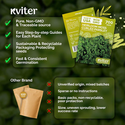KVITER 150 Borage Seeds (Borago officinalis) - Blue Strawflower, Edible Flower for Teas, Attracts Pollinators - Heirloom Herb Seeds for Planting in Outdoor & Indoor Garden, Beds, Containers