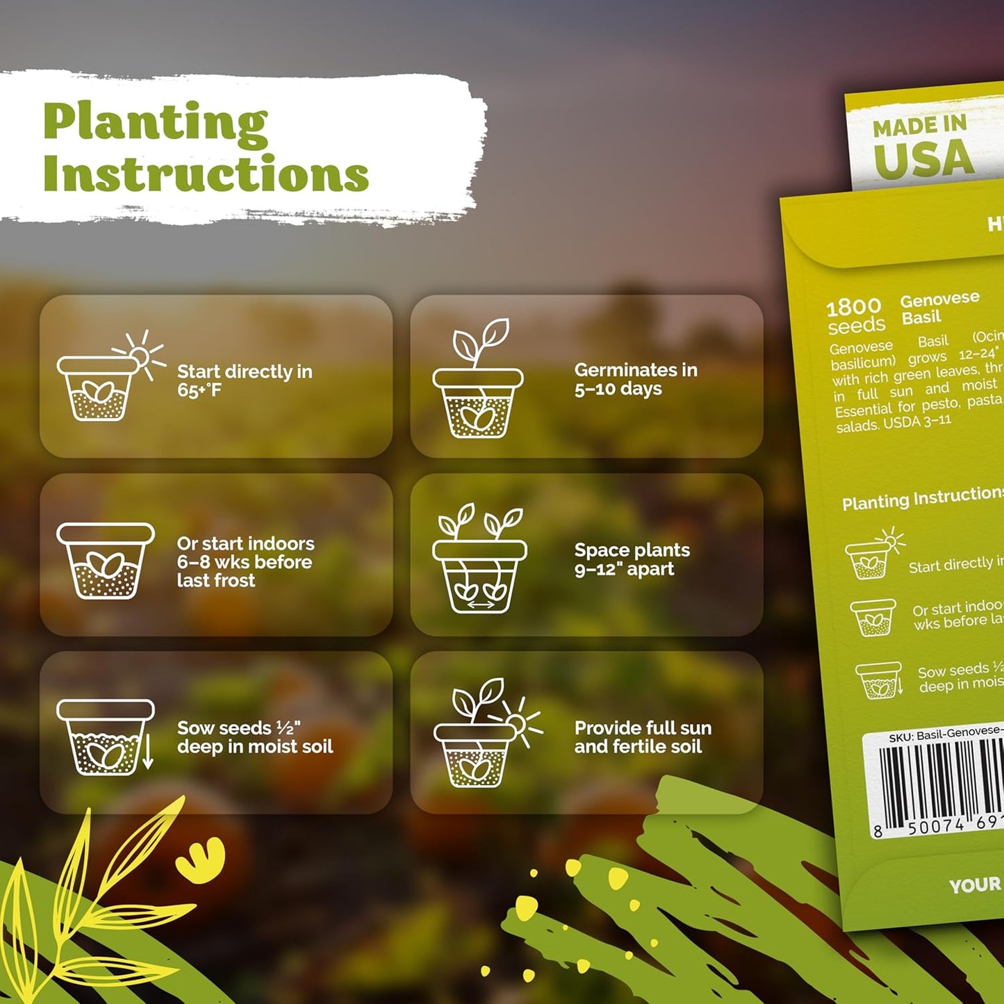KVITER 150 Borage Seeds (Borago officinalis) - Blue Strawflower, Edible Flower for Teas, Attracts Pollinators - Heirloom Herb Seeds for Planting in Outdoor & Indoor Garden, Beds, Containers