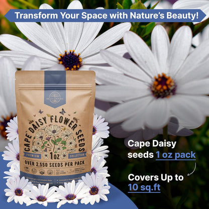 Sunflower Mix Seeds Pack 8 oz - Over 10,300 Non-GMO Heirloom Sunflower Seeds for Planting, Annual Flowers in Individual Seed Packet for Planting Home Garden Indoor & Outdoor Gardening