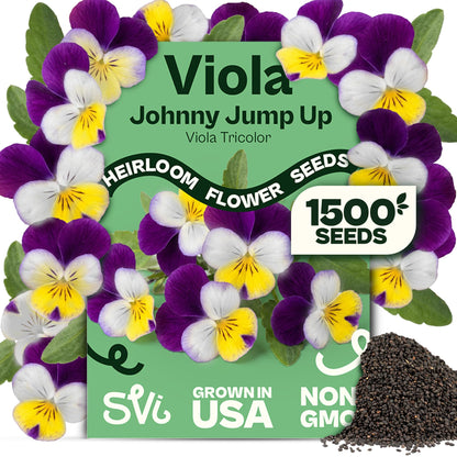 SVI 50 Teddy Bear Sunflower Seeds (Helianthus annuus) – Dwarf Teddy Bear Sunflower Seed Packets – Annual Cut Flower Seeds for Outdoor Garden & Indoor Garden, Containers, Patios, Flower Beds