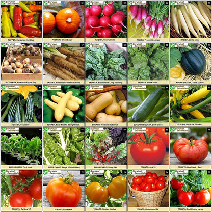 Ultimate Non-GMO Heirloom Survival Seed Vault – 23,000 Open-Pollinated Vegetable, Herb & Fruit Seeds for Planting – 144 Varieties for All USDA Hardiness Zones – Long Term Emergency Preparedness Seeds