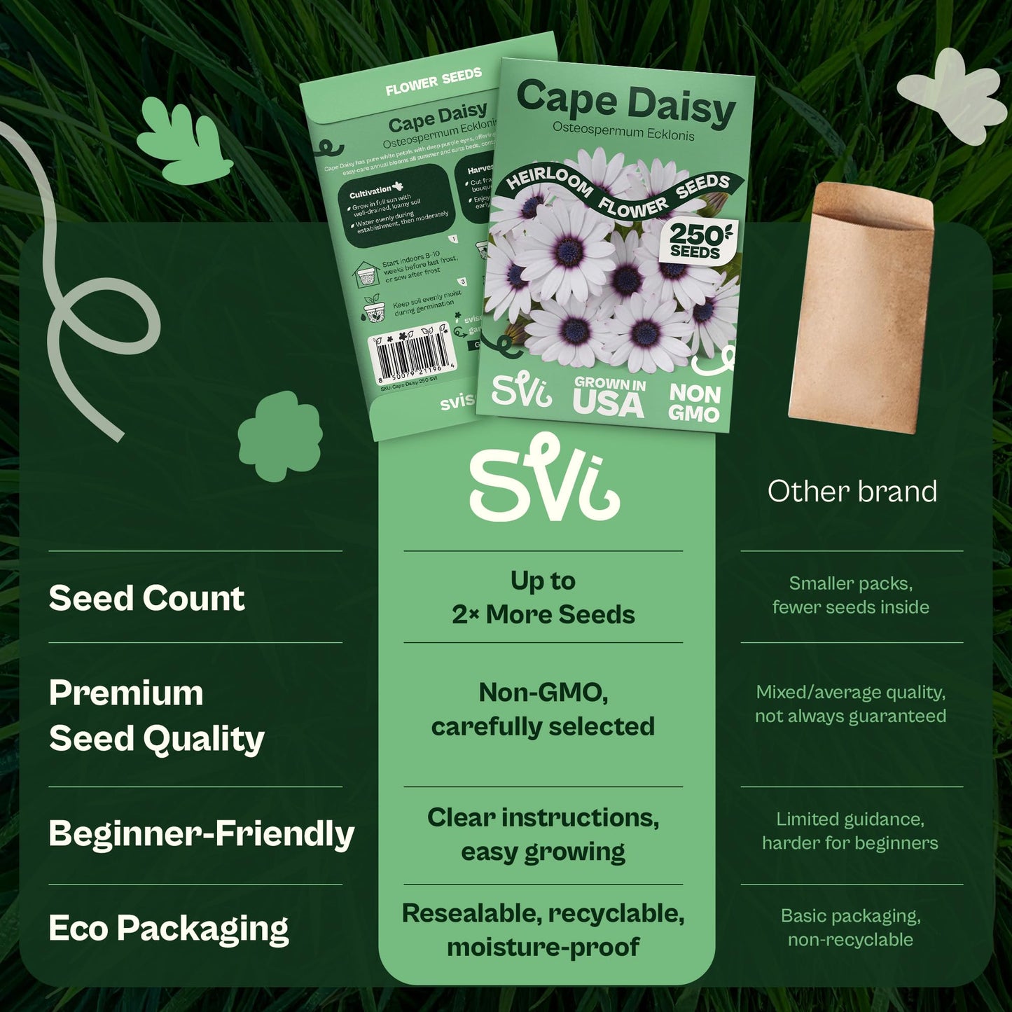 SVI 50 Teddy Bear Sunflower Seeds (Helianthus annuus) – Dwarf Teddy Bear Sunflower Seed Packets – Annual Cut Flower Seeds for Outdoor Garden & Indoor Garden, Containers, Patios, Flower Beds