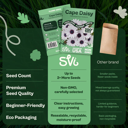 SVI 50 Teddy Bear Sunflower Seeds (Helianthus annuus) – Dwarf Teddy Bear Sunflower Seed Packets – Annual Cut Flower Seeds for Outdoor Garden & Indoor Garden, Containers, Patios, Flower Beds