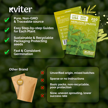 KVITER 150 Borage Seeds (Borago officinalis) - Blue Strawflower, Edible Flower for Teas, Attracts Pollinators - Heirloom Herb Seeds for Planting in Outdoor & Indoor Garden, Beds, Containers