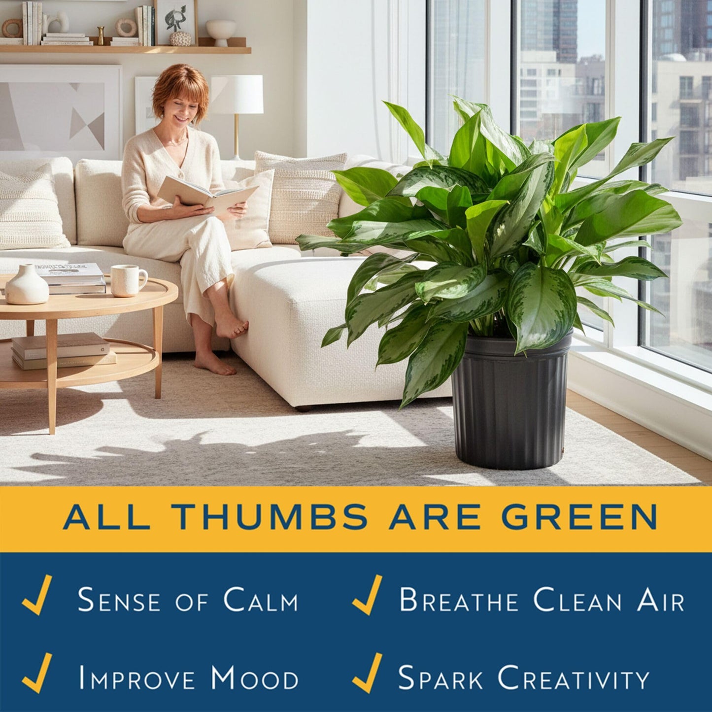 Costa Farms Chinese Evergreen Live Plant in Decorative Pot, Easy to Maintain, Air Purifying Indoor Houseplant, Home, Room, or Office Decor, House Warming or Birthday Gift, 12-18 Inches Tall