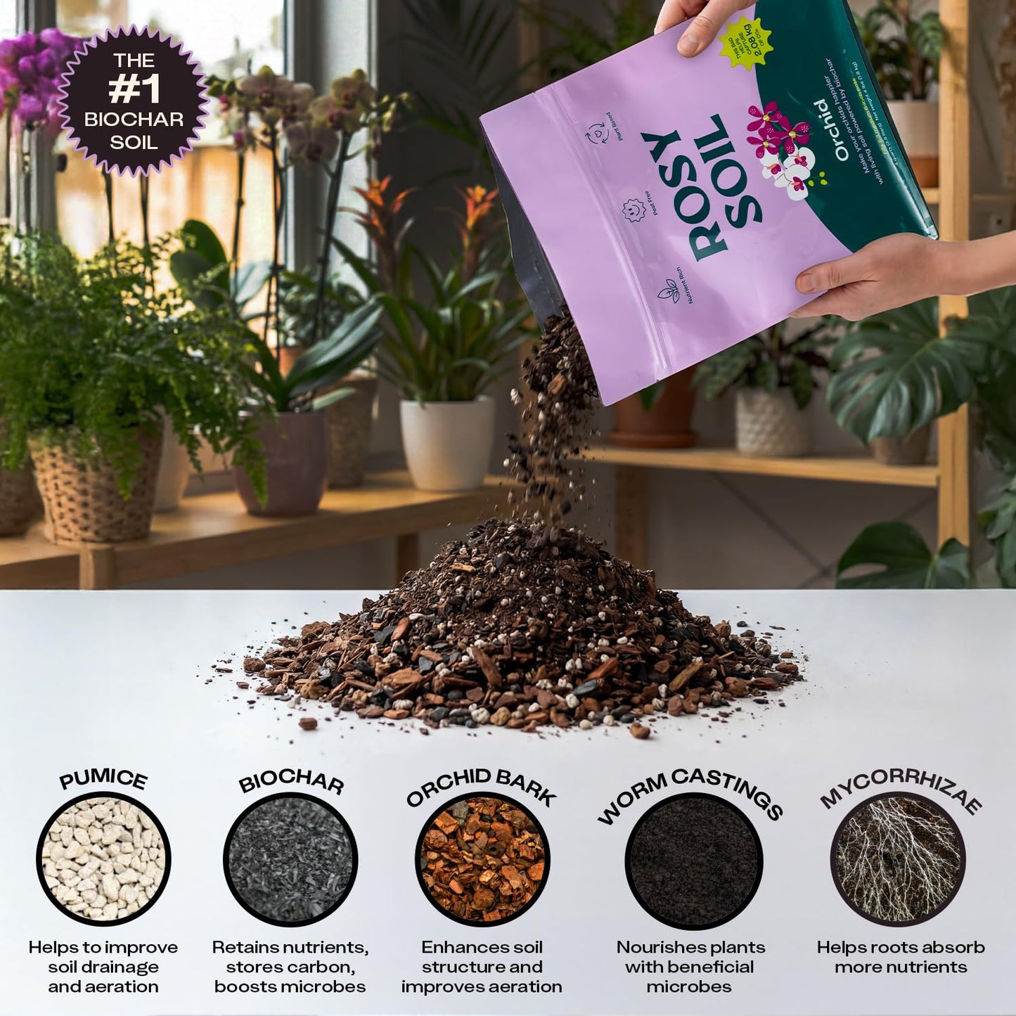 Rosy Soil Cactus Soil – Organic Succulent Potting Mix, Chunky Fast Draining, Peat-Free, Root Boosting Mix for AloeVera, Cacti, Indoor Succulents - 4qt