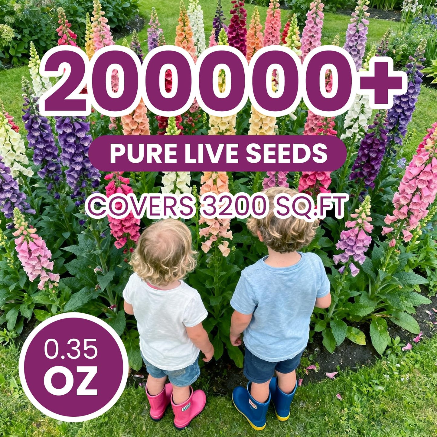 Foxglove Seeds Perennial – Mixed Colors, 200,000+ Seeds Bulk Pack for Easy-to-Grow Home Gardening, Tall Spire Blooms for Garden Borders, Attract Hummingbirds & Bees