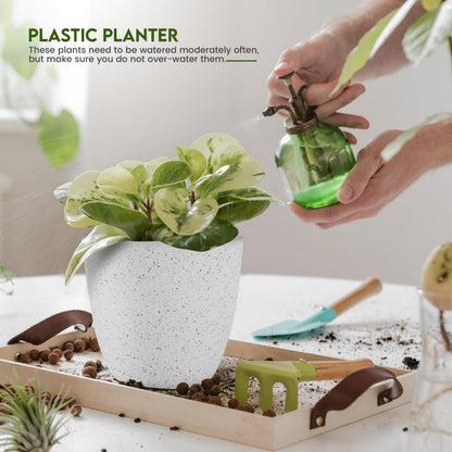 Utopia Home Plant Pots Indoor with Drainage Holes – Set of 5 White Plastic Flower Pots (7/6.6/6/5.3/4.8 Inch) – Modern Planters for Indoor Plants, Room & Office Décor, Great Stocking Stuffers