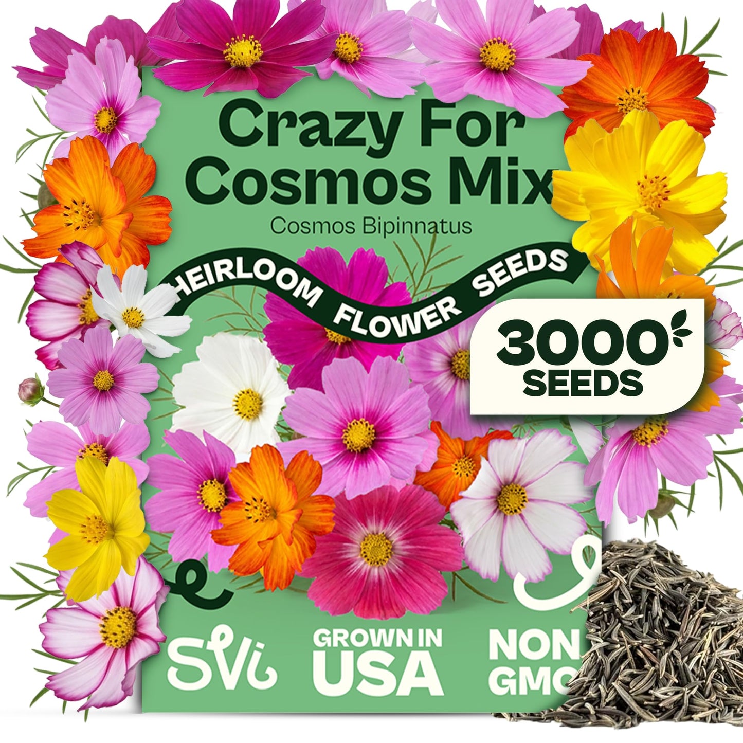 SVI 50 Teddy Bear Sunflower Seeds (Helianthus annuus) – Dwarf Teddy Bear Sunflower Seed Packets – Annual Cut Flower Seeds for Outdoor Garden & Indoor Garden, Containers, Patios, Flower Beds