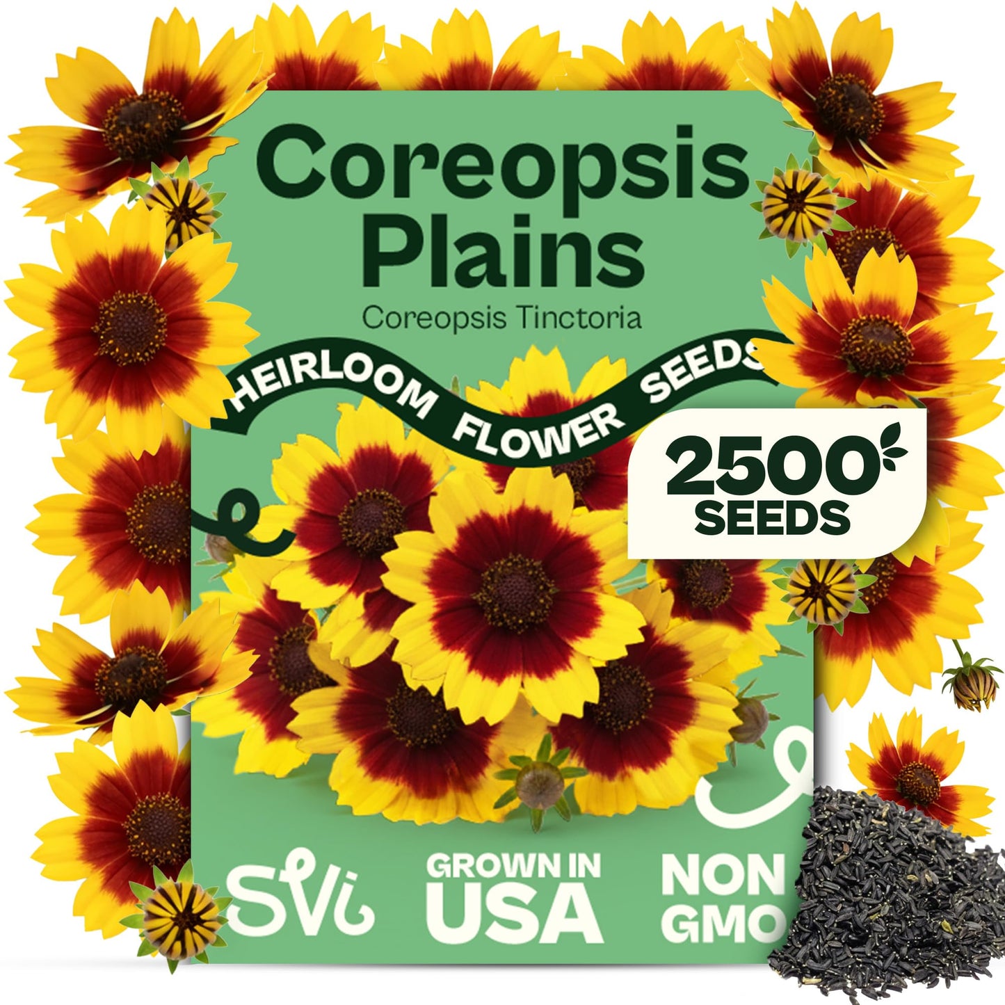 SVI 50 Teddy Bear Sunflower Seeds (Helianthus annuus) – Dwarf Teddy Bear Sunflower Seed Packets – Annual Cut Flower Seeds for Outdoor Garden & Indoor Garden, Containers, Patios, Flower Beds