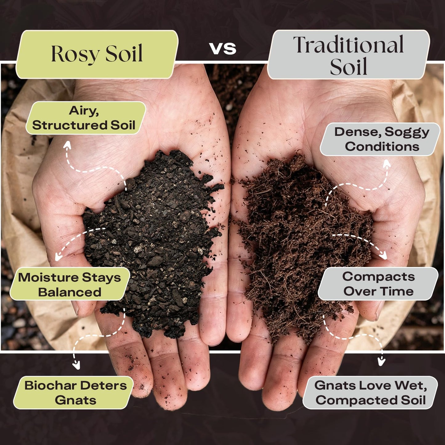 Rosy Soil Cactus Soil – Organic Succulent Potting Mix, Chunky Fast Draining, Peat-Free, Root Boosting Mix for AloeVera, Cacti, Indoor Succulents - 4qt