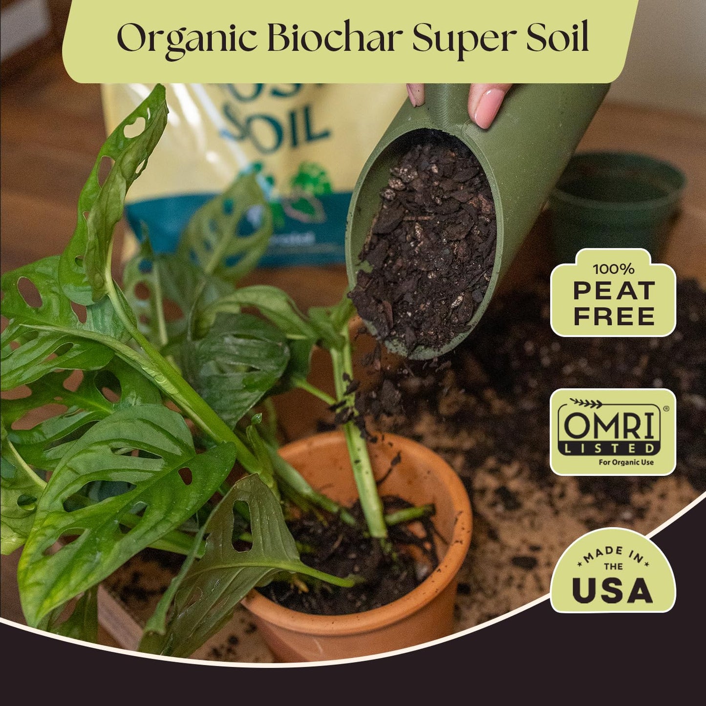 Rosy Soil Cactus Soil – Organic Succulent Potting Mix, Chunky Fast Draining, Peat-Free, Root Boosting Mix for AloeVera, Cacti, Indoor Succulents - 4qt