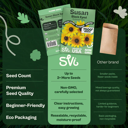 SVI 50 Teddy Bear Sunflower Seeds (Helianthus annuus) – Dwarf Teddy Bear Sunflower Seed Packets – Annual Cut Flower Seeds for Outdoor Garden & Indoor Garden, Containers, Patios, Flower Beds