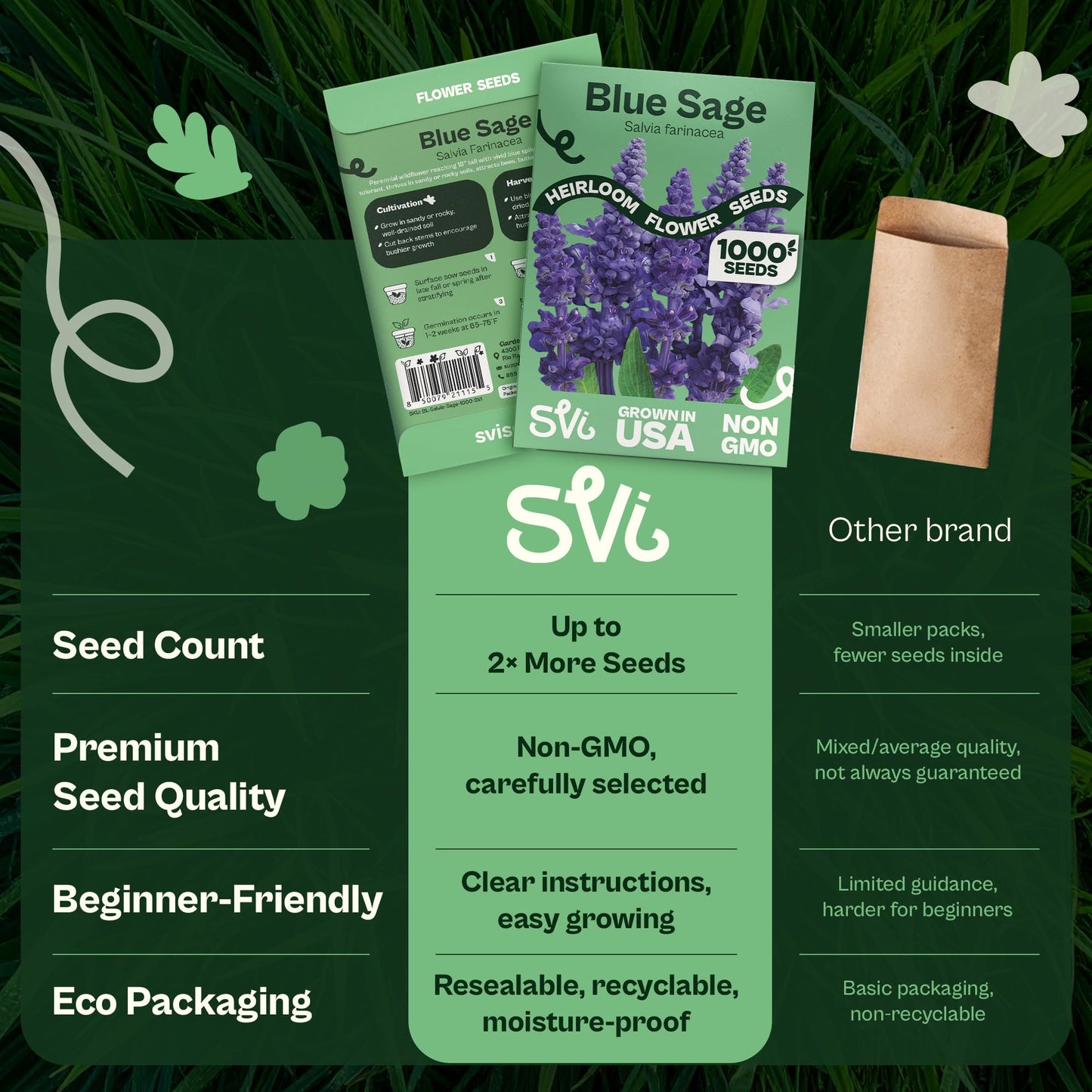 SVI 50 Teddy Bear Sunflower Seeds (Helianthus annuus) – Dwarf Teddy Bear Sunflower Seed Packets – Annual Cut Flower Seeds for Outdoor Garden & Indoor Garden, Containers, Patios, Flower Beds