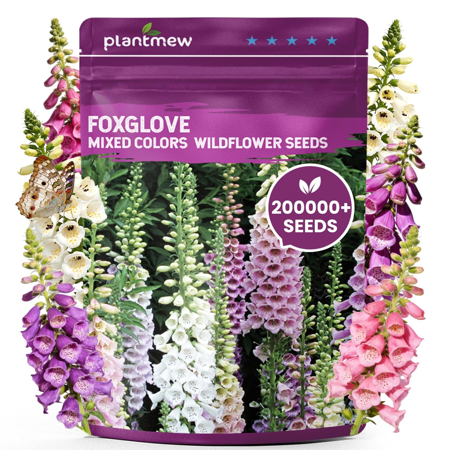 Foxglove Seeds Perennial – Mixed Colors, 200,000+ Seeds Bulk Pack for Easy-to-Grow Home Gardening, Tall Spire Blooms for Garden Borders, Attract Hummingbirds & Bees
