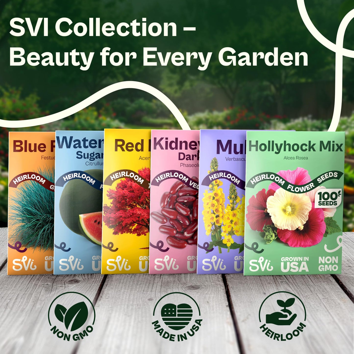 SVI 50 Teddy Bear Sunflower Seeds (Helianthus annuus) – Dwarf Teddy Bear Sunflower Seed Packets – Annual Cut Flower Seeds for Outdoor Garden & Indoor Garden, Containers, Patios, Flower Beds