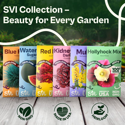SVI 50 Teddy Bear Sunflower Seeds (Helianthus annuus) – Dwarf Teddy Bear Sunflower Seed Packets – Annual Cut Flower Seeds for Outdoor Garden & Indoor Garden, Containers, Patios, Flower Beds